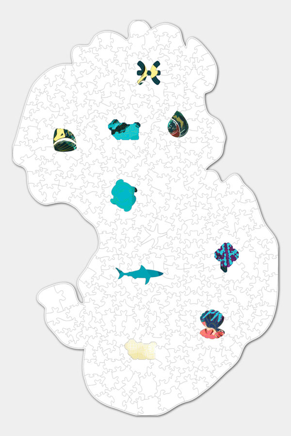 Quebra-Cabeça | Peixes | Realidade - Imagem 2